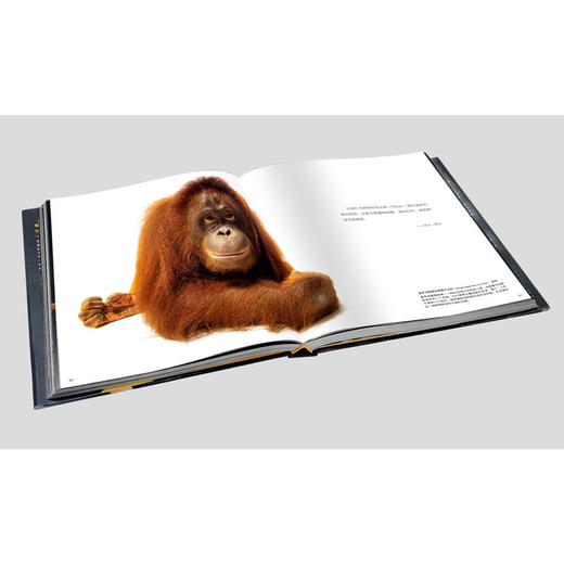 National Geographic美国國家地理“影像方舟”：珍稀动物全书 商品图6