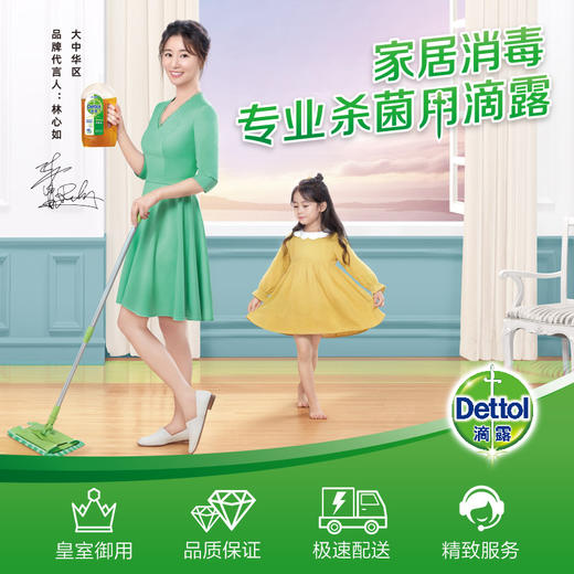 滴露Dettol 消毒液1.2L  杀菌除螨 儿童宝宝内衣 家居室内 宠物环境消毒 消毒水 衣物除菌剂 商品图8