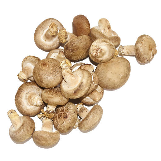 鲜香菇 商品图1