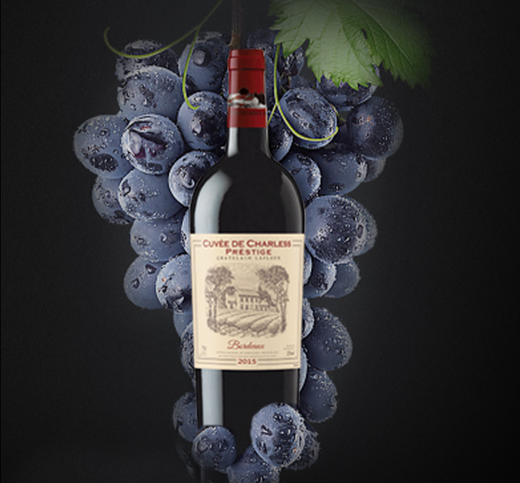 法国原瓶进口拉斐查尔斯系列城堡 商品图3