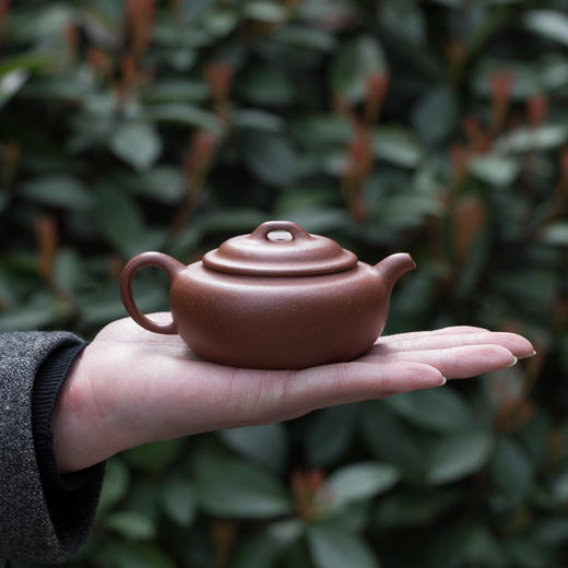 【开学季】宜兴正宗原矿紫砂"金玉"过桥扁腹紫砂壶 xk