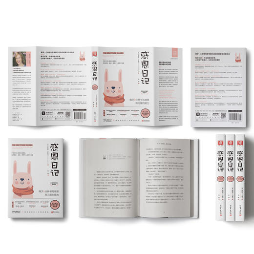 【福利商城】感恩日记（新版）：14个明媚瞬间，14种温暖从容，365天感恩练习，帮你熨开生活中的皱纹，捕捉平凡时光里的微笑能量 商品图1