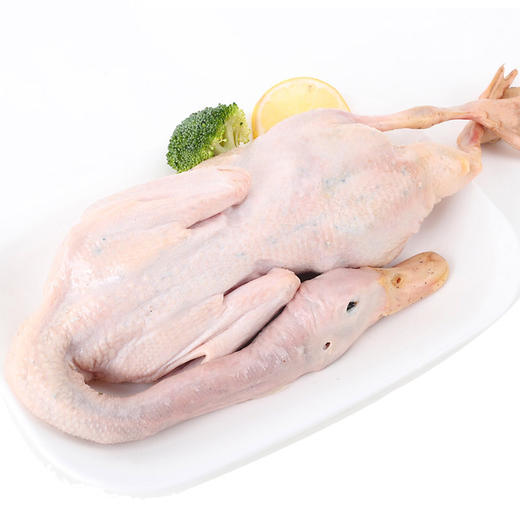 5斤 - 开太鱼文化鲜生