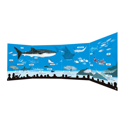 一起去逛动物园水族馆：全2册 商品图4