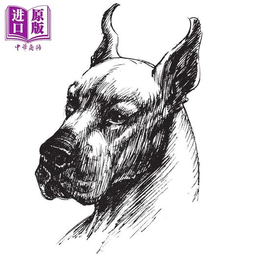 【中商原版】动物绘画的艺术:结构动作分析及漫画手法 英文原版 The Art of Animal Drawing 商品图4