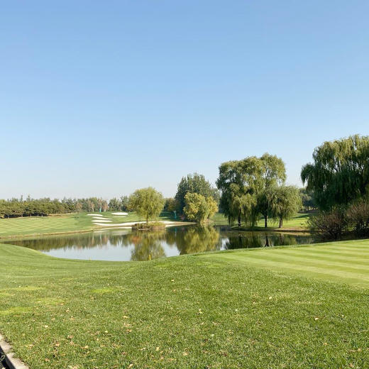 北京清河湾乡村高尔夫俱乐部-海淀场（B场）Beijing Qing River Golf Country Club | 海淀 球场 | 北京 | 中国 商品图3