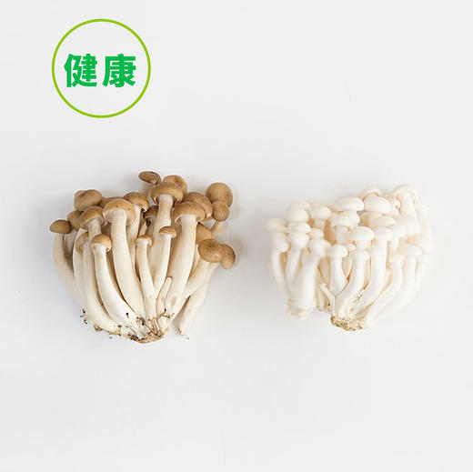 白玉菇（150g/袋） 商品图1