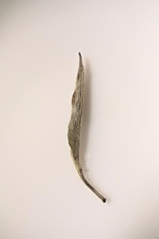 [第54期] 2017年云雾白毫银针（政和白茶 | 玉兰清香） 商品图0