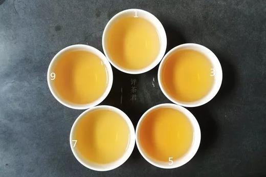 [第66期]方守龙2008年春牡丹茶（福鼎白茶 | 甜香润滑） 商品图0