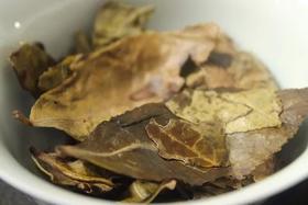 [第65期]方守龙2016年雪韵茶团（福鼎白茶 | 甘冽绵柔）