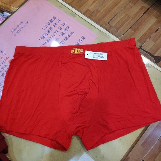 男肥佬平角内裤 商品图5