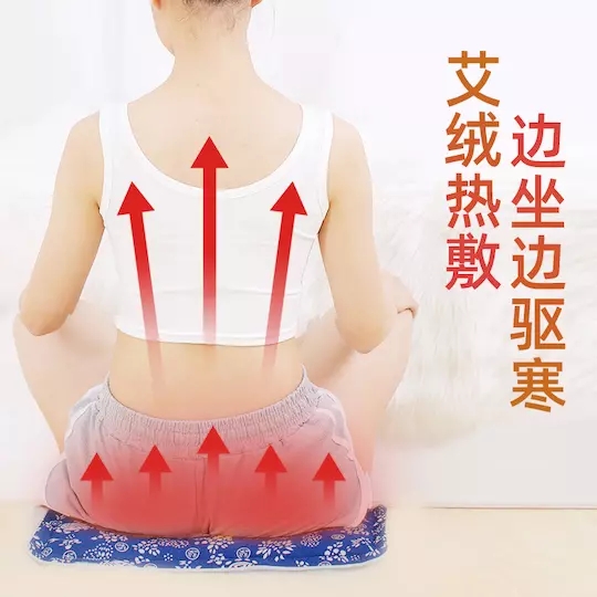 爆款推荐 |【电加热艾绒坐垫】正宗蕲艾，温经散寒、赶走寒气，久坐不累，柔软透气；30秒快速加热，智能控温；拆洗方便