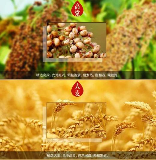 45度西凤酒6年陈酿   凤香型500ml 商品图11