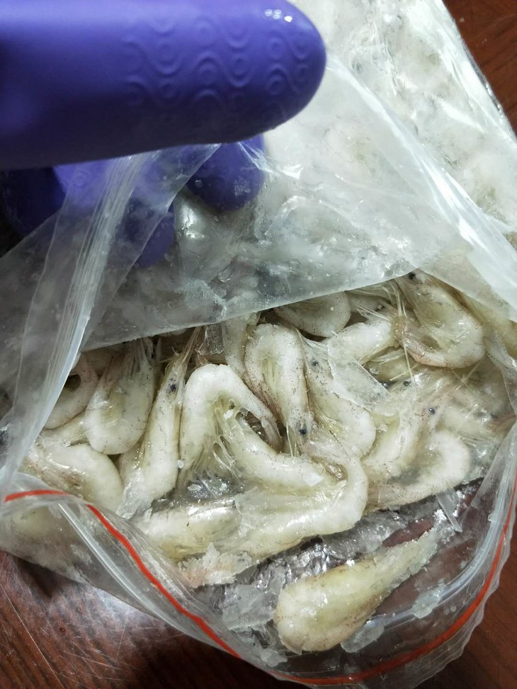 顺丰包邮巢湖特产淡水野生白米虾儿童孕妇老人补钙必备捕捞速冻河虾