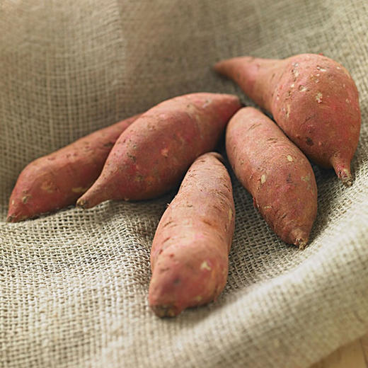 【山东·烟薯】会流油的红薯 烟薯25号 蜜薯 蜜糖心红心番薯 商品图3