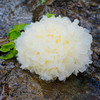 新鲜银耳6朵装约800g 活鲜雪耳非干货白木耳福建古田特产糯莲子羹材料6朵 商品缩略图2