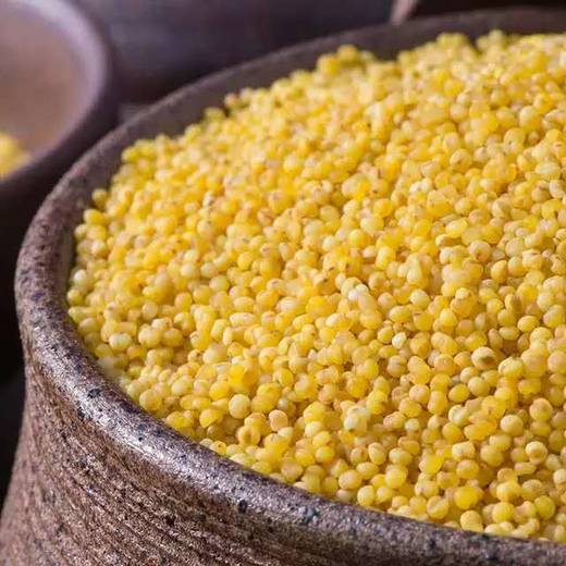 秦珍源布袋小米5斤装 商品图4