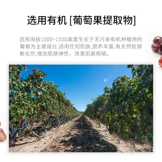 素丝蜜丝基底莹润精华液50ml 商品图1