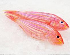 冰鲜红杉鱼 /斤 商品图1