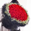 爱意无边     99支红玫瑰，满天星，黄莺搭配！（1918） 商品缩略图0