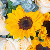 真爱     11支香槟玫瑰，3支向日葵，一个蓝色绣球，桔梗，尤加利搭配（1933） 商品缩略图3