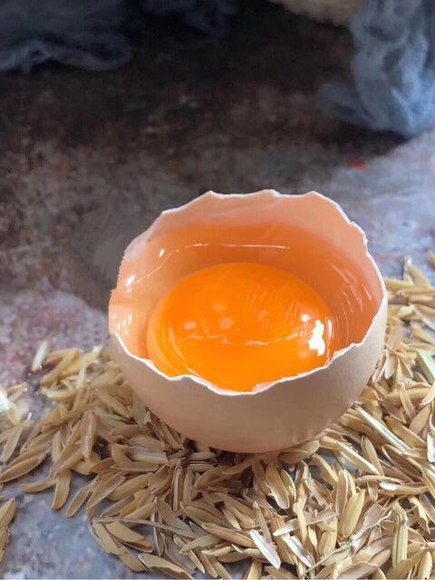 晋龙鲜鸡蛋 出口级可生食鸡蛋【活动25号24:00结束】