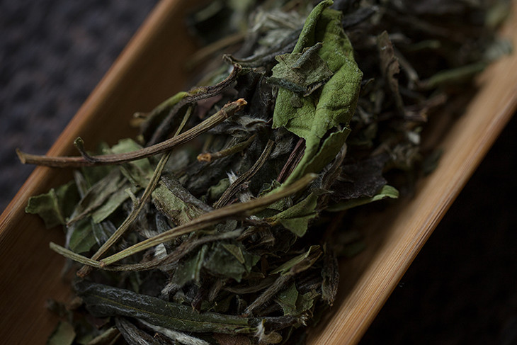 茶香记野生老枞白茶2019年枞韵荒野气息传统工艺日光萎凋花香馥郁甜润