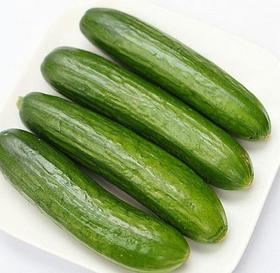 水果黄瓜（生鲜类商品当日取货，过期按取货日价格）