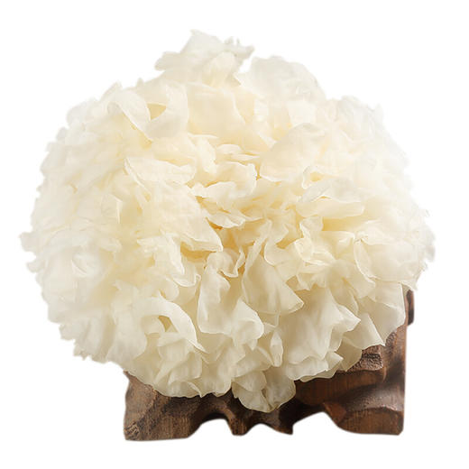 新鲜银耳6朵装约800g 活鲜雪耳非干货白木耳福建古田特产糯莲子羹材料6朵 商品图1