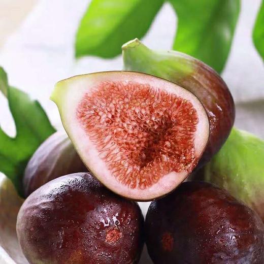 无花果
