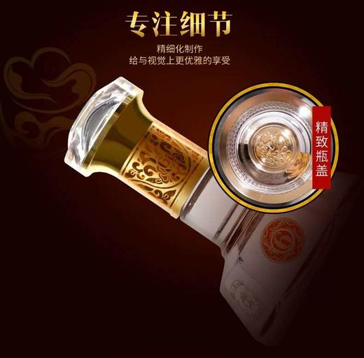 45度西凤酒6年陈酿   凤香型500ml 商品图6