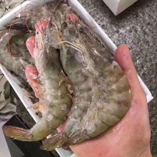 南美深海捕 4050大规格 大白虾2kg