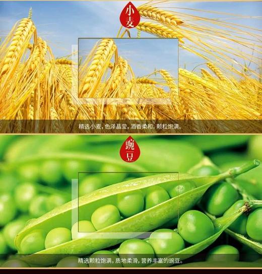 45度西凤酒6年陈酿   凤香型500ml 商品图12