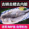 三都港清蒸鲈鱼500g 商品缩略图1