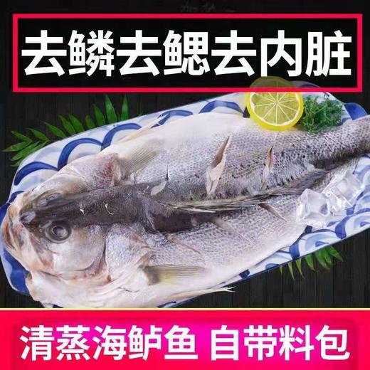 三都港清蒸鲈鱼500g 商品图1