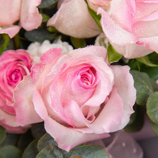 钟情你   11支糖果色玫瑰，桔梗，尤加利搭配（1931） 商品图2