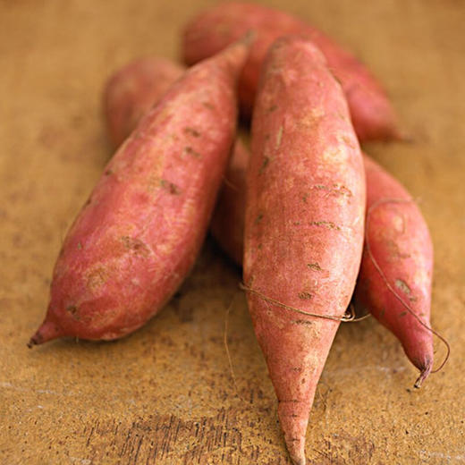 【山东·烟薯】会流油的红薯 烟薯25号 蜜薯 蜜糖心红心番薯 商品图4