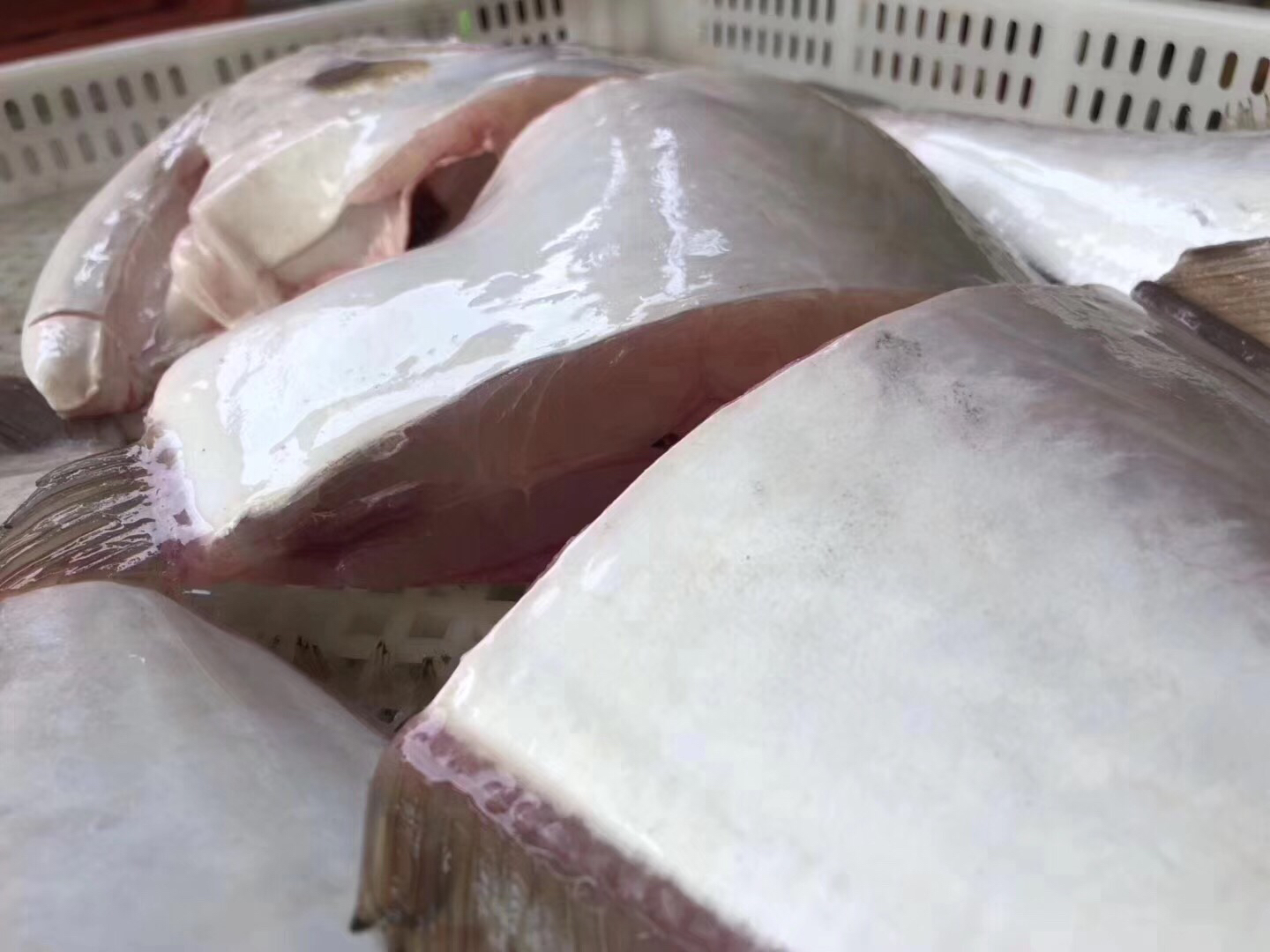 海鲜精选东山海鲜61活鲜大扒皮鱼顺丰冷链肉多刺少肉嫩q弹干煎外酥