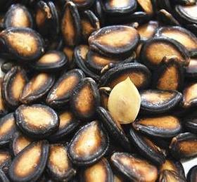 【百汇到家】散装干西瓜子