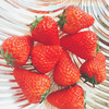 【丹东99草莓】明星产品 商品缩略图1