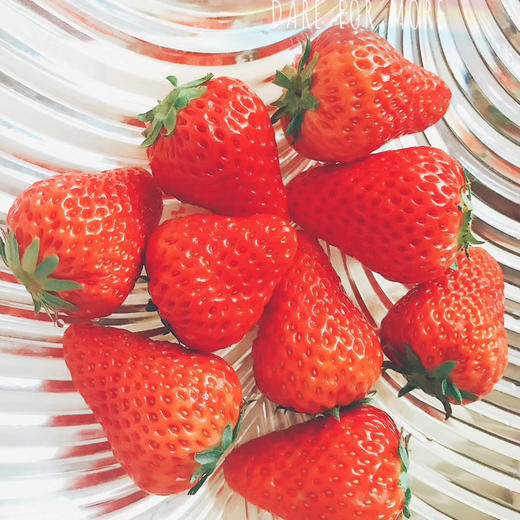 【丹东99草莓】明星产品 商品图1