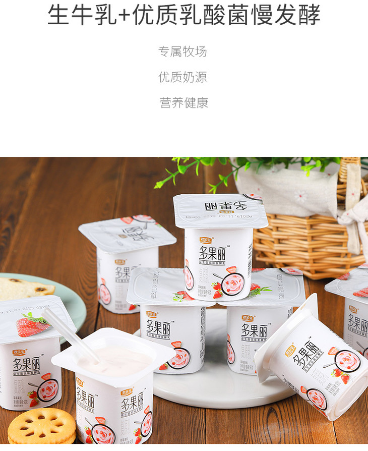 720810君乐宝多果丽益生菌风味发酵乳板装90g8杯酸奶