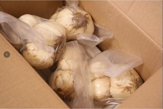 丨生态丨多年生兰州新鲜百合 生态种植 商品图10