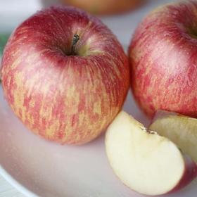 （测试）2020我为汽车种棵树