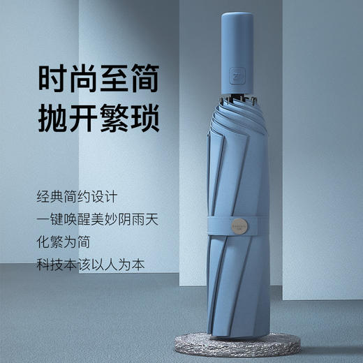 【抵御8级风暴，行走的油画】左都Morandi色系全自动暴风伞 颜值与实力并存 一键开合 商品图2