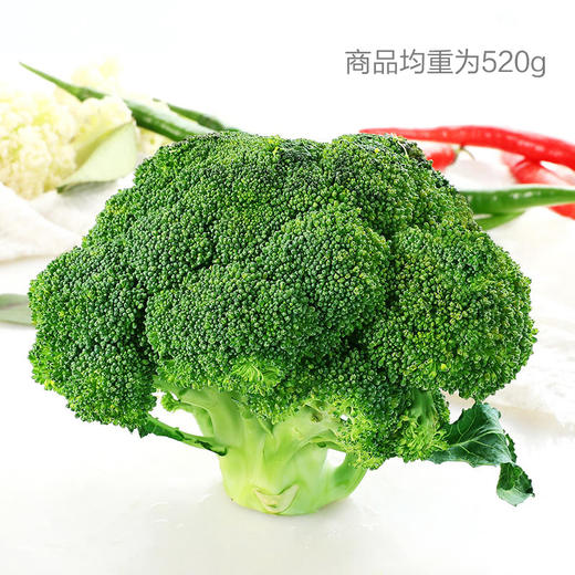 西兰花 商品图0