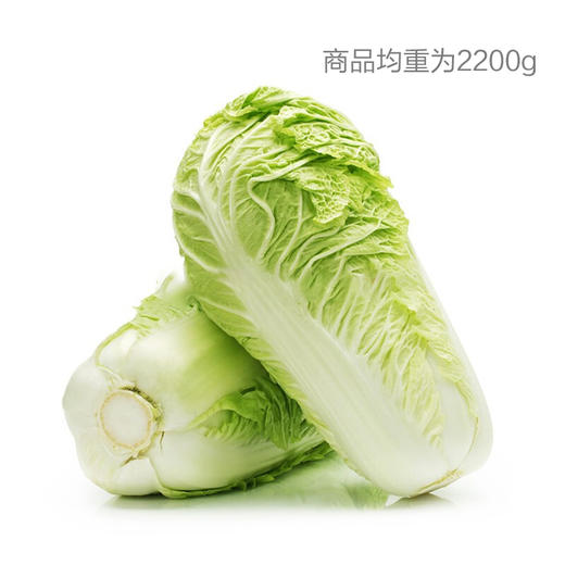短白菜 商品图0