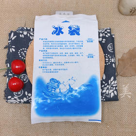 冰袋10个