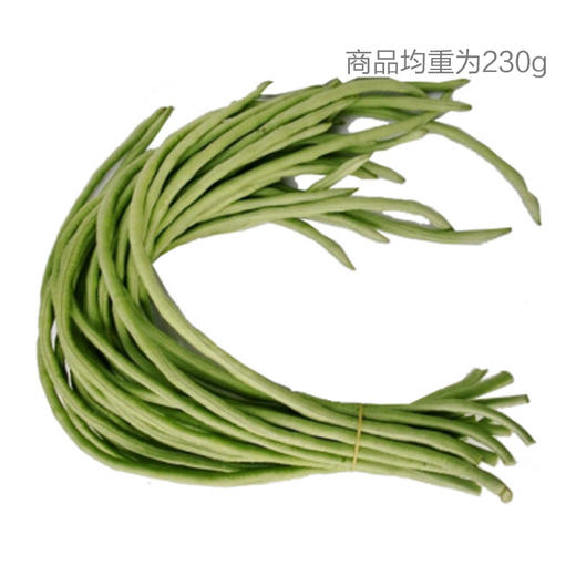 长豆角 商品图0