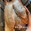 【野生花龙利鱼】野生海捕，肉质细嫩营养丰富！1条400-600克，帮杀好 商品缩略图2